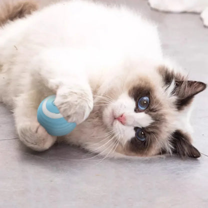 Rechargeable Self-Moving Rolling Ball Cat Toy — Interactive Indoor Toy for Kittens & Cats