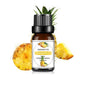 Mango Pineapple Fragrance Oil 10ml (0.34 fl oz) Natural Fruit Scent for Diffusers, Candles & Soap Making