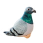 Simulation Pigeon Plush Toy – Cartoon Peace Dove Stuffed Doll Gift