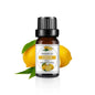 Mango Pineapple Fragrance Oil 10ml (0.34 fl oz) Natural Fruit Scent for Diffusers, Candles & Soap Making
