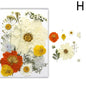 For Fun DIY Embossed Dried Flower Resin Fillings Real Flower for Home Decoration Nail Art Handicrafts Jewelry Making Crafts