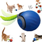 Interactive Rolling Cat Toy with Tail – USB Rechargeable Smart Ball, Dual-Speed Automatic Play