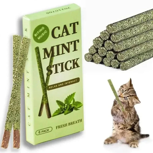6-Pack Matatabi (Silvervine) Cat Sticks — Natural Wood Chew Toys for Teeth Cleaning & Play