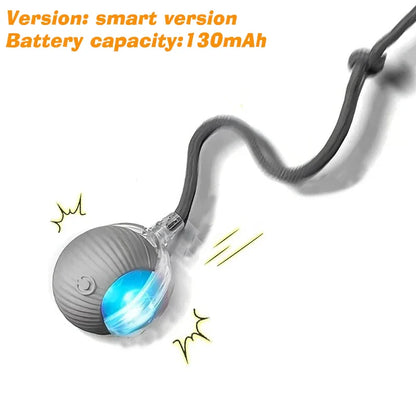 Rechargeable Interactive Rolling Ball Toy for Dogs & Cats — Automatic Smart Obstacle-Avoiding Pet Play Ball