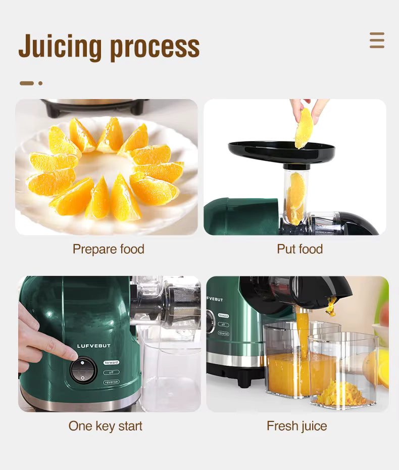 LUFVEBUT BP-8038 Slow Masticating Juicer, 200 W