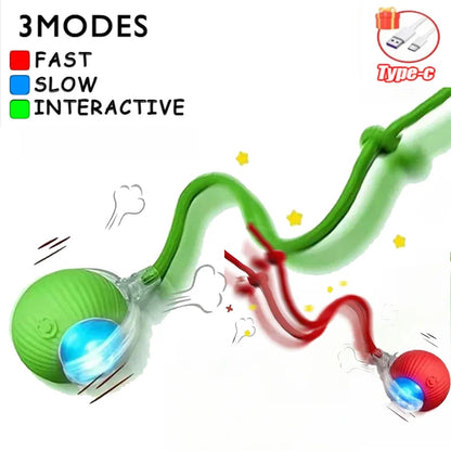 Automatic Rolling Ball Cat Toy – USB-C Rechargeable Interactive Silicone Magic Ball, Prey-Simulating Training Toy for Cats