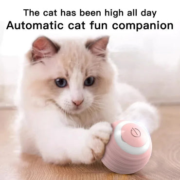 Automatic Interactive Rolling Cat Ball Toy – Self-Moving Electronic Kitten Toy