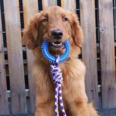 Interactive Spiked Dog Ring Toy - Rubber Chew for Teeth Cleaning & Training