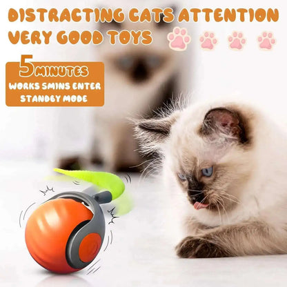 Interactive Rolling Cat Toy with Tail – USB Rechargeable Smart Ball, Dual-Speed Automatic Play