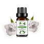 10ml (0.34 fl oz) Organic Essential Oil, 33 Scents Aromatherapy Fragrance Oil for Diffuser, Candle & Soap Making, Sleep
