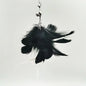 Interactive Feather Cat Toy – Feather Teaser for Cat Play & Exercise