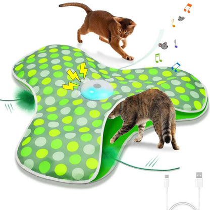 Interactive Hide and Seek Cat Toy – Motion-Activated Squeaky Mouse with Concealed Feather Wand, USB Rechargeable
