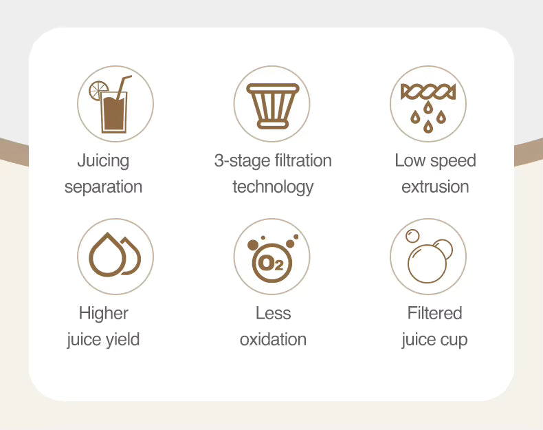 LUFVEBUT BP-8038 Slow Masticating Juicer, 200 W