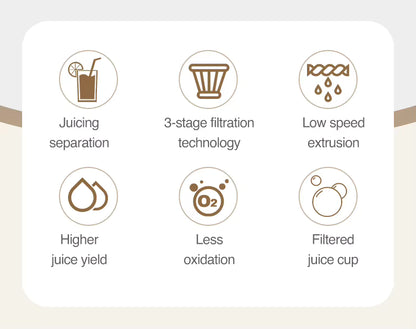 LUFVEBUT BP-8038 Slow Masticating Juicer, 200 W