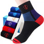 10PCS Men’s Mid-Calf Cotton Socks – Solid Color, Versatile for All Seasons