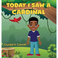 Today I Saw A Cardinal - Hardcover