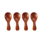 4-Pack Mini Wooden Spoons Small Short-Handle Sugar Salt Spice Scoops for Coffee Tea & Baby Feeding