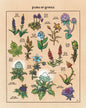 Video Game Inspired Flora of Hyrule Koroks Posters Mushroom World Plant Book Canvas Painting Print Wall Picture Game Room Decor