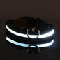 LED Glow Dog Collar – Nylon Luminous Fluorescent Safety Collar with Flashing Lights