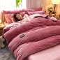 Thick Velvet Duvet Cover Set with 2 Pillowcases - Warm Winter Comforter Cover, Available 150×200 to 220×240 cm (59×79 to 87×94 in)