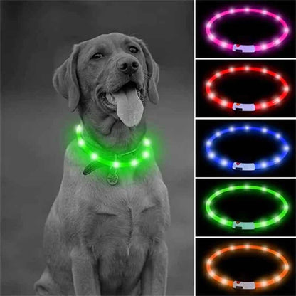 LED Pet Dog Collar for Night Safety | Bright USB Rechargeable