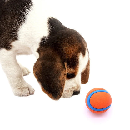 Chew-Proof Rubber Dog Ball - Elastic Jumping Fetch Toy for Small, Medium & Large Dogs