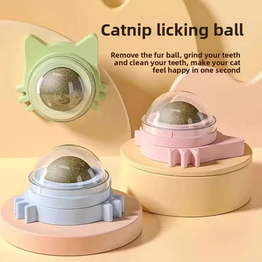 Catnip Ball Cat Toy – Bite-Resistant Self-Play Chew Toy for Kittens & Cats