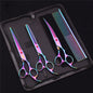 7-Inch (19.5 cm) Stainless Steel Pet Grooming Scissors Kit – Straight, Thinning, Chunker & Curved Shears