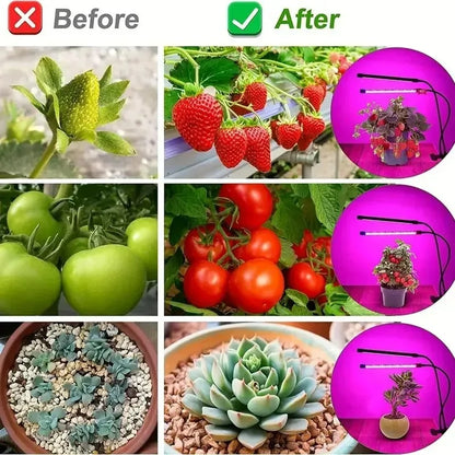 LED Plant Growth Light with 10 Levels Adjustable Brightness Full Spectrum 3H/9H/12H Timed Indoor Garden Vegetable Growth Light