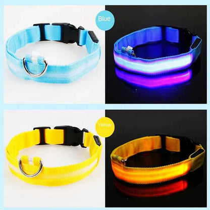 LED Pet Dog Collar for Night Safety | Bright USB Rechargeable