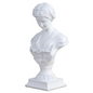 Goddess Bust Statue Classical De Milo Tabletop Decor Gift Greek Roman Mythology Art Replica Resin Venus Sculpture Home Office