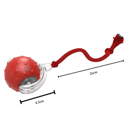 Motion-Activated Interactive Cat Toy Ball with Chirping Bird Sound & LED Rolling Teaser for Kittens