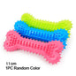 Bite-Resistant Rubber Spiked Dog Chew Toy for Small Dogs — Teeth Cleaning Squeaky Training Toy (1-Pack)