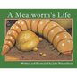 A Mealworm's Life - Paperback