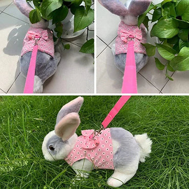 Small Animal Vest Harness & Leash Set for Rabbits, Kittens & Guinea Pigs – Adjustable Breathable Cotton, 3 Sizes (S/M/L)