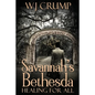Savannah's Bethesda: Healing for All: Healing for All: - Paperback