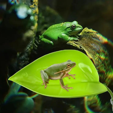 Frog Habitat Leaf Suction Cup Reptile Basking and Resting Terrace Tank Accessory Simulated Leaf for Geckos
