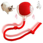 Rechargeable Interactive Rolling Cat Toy with Faux Tail - Motion-Activated Ball for Cats & Small Dogs