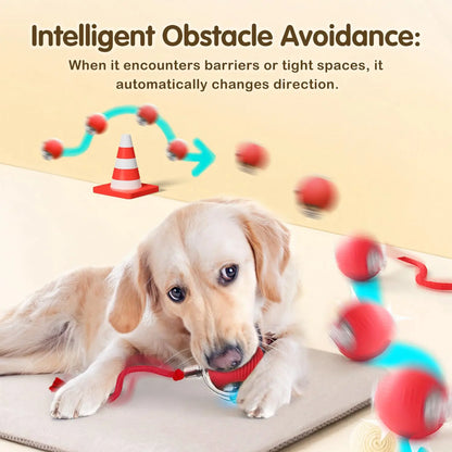 Rechargeable Interactive Cat Ball Toy — Automatic Rolling Smart Toy with Tail, LED & Obstacle Avoidance
