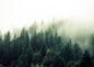 Nature Landscape Green Forest Mountain Lake Boat Poster Print Canvas Painting Wall Art Pictures Modern Living Room Home Decor