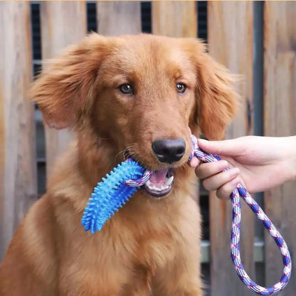 Interactive Spiked Dog Ring Toy - Rubber Chew for Teeth Cleaning & Training