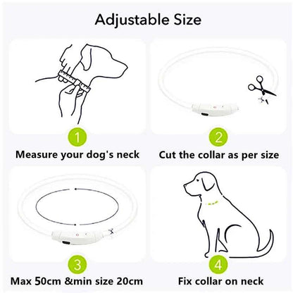 LED Pet Dog Collar for Night Safety | Bright USB Rechargeable