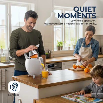 ROUNY VS-6016B Electric Citrus Juicer, 850W