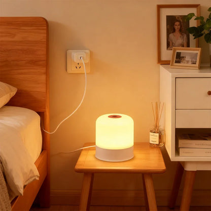LED Dimmable Night Light Rechargeable and Plug-in Touch RGB Bedside Desk Lamp