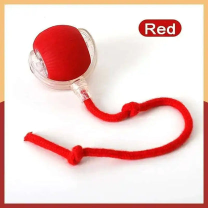 Interactive Rolling Cat Toy with Tail – USB Rechargeable Smart Ball, Dual-Speed Automatic Play