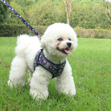 Adjustable Soft Vest Harness & Leash Set for Small & Medium Dogs & Cats – Reflective Printed Puppy Harness with Wrist Leash and Collar
