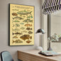 ACE Fishing Fish Sea Poster Wall Chart Prints And Posters Home Living Bed Room Decor Art Bar Cafe Framelesss Painting Poster
