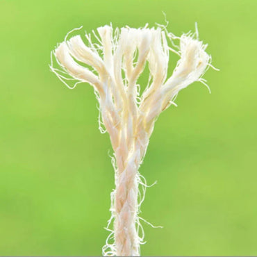 Natural Sisal Rope for Cat Scratching Post – 4mm/6mm x 10/20/50m (0.16/0.24in × 32.8/65.6/164ft) Bleached White for Cat Trees & Sofa Protection