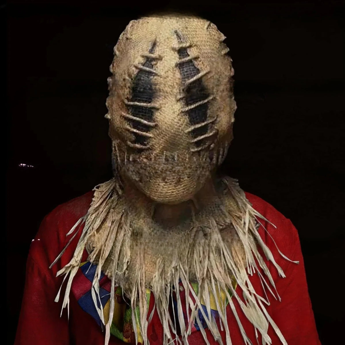 Scarecrow Halloween Costume Mask and Accessories