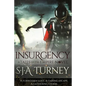 Insurgency - Paperback